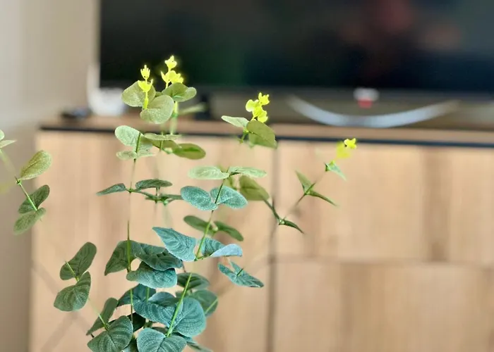 Stylische Nähe Aachen, Wlan, Netflix, Kostenlose Parkplätze, Modern&gemütlich Würselen